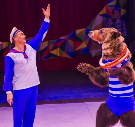 Тайна пирата