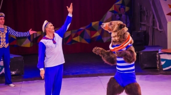 Тайна пирата