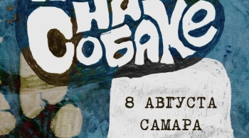 Порез на собаке