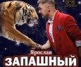 Тигры на земле и в воздухе