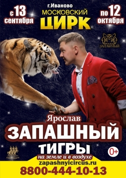 Тигры на земле и в воздухе