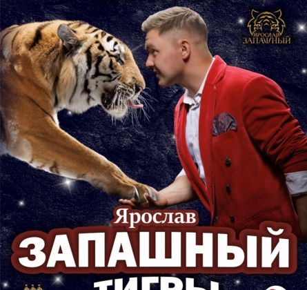 Тигры на земле и в воздухе