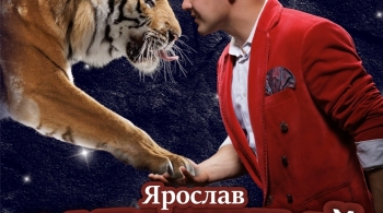 Тигры на земле и в воздухе