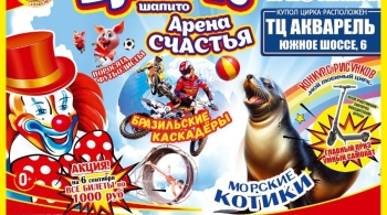 Арена счастья