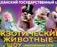 Магия великих слов
