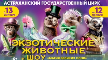 Магия великих слов