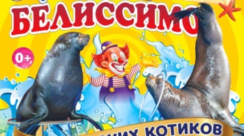 Белиссимо | Цирк