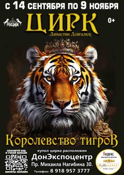 Цирк Династии Довгалюк
