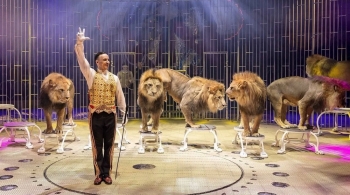 Принц цирка