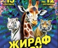 Жираф шоу