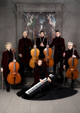 Renaissance Cellos
