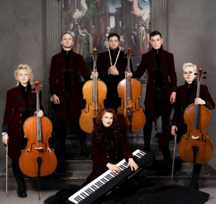 Renaissance Cellos