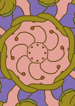 Российский национальный конкурс. Программа 5