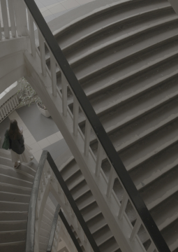 Город солнца. Леонидов