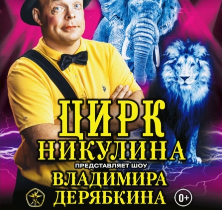 Шоу Владимира Дерябкина