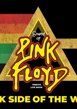 Sound of Pink Floyd