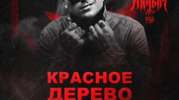 Красное дерево