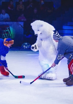 Айсберг | Цирк на льду