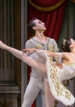 Лебединое озеро