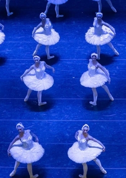 Лебединое озеро