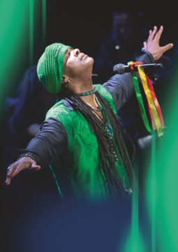 Эндрю Дональдс | Enigma