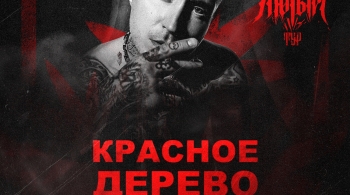 Красное дерево