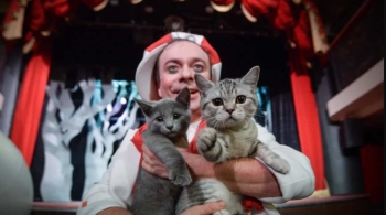 Котобум