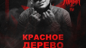 Красное дерево
