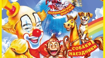 Цирк счастья