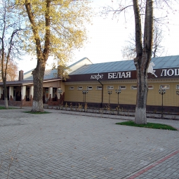 Белая лошадь