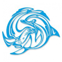 Санкт-Петербургский дельфинарий