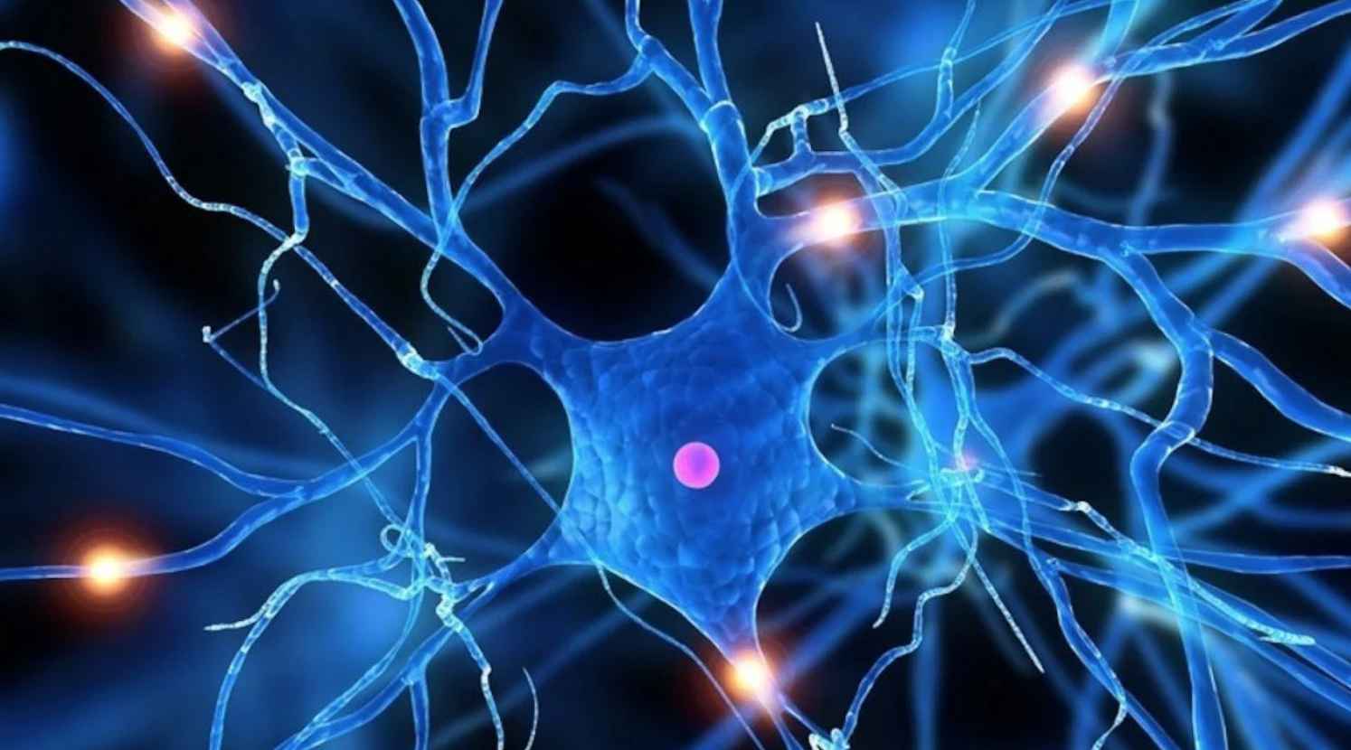Нейро системы. Синаптическая связь между нейронами. Нейроны головного мозга. Нервная клетка. Нейронная сеть мозга.