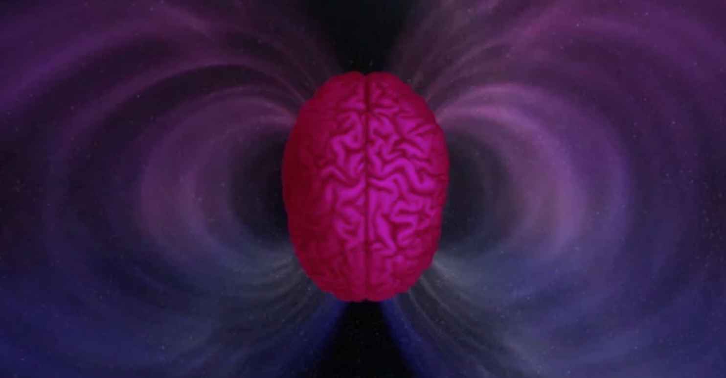 Мозг магнитное поле